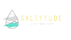 saltytude.com